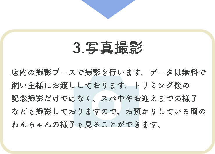 流れ